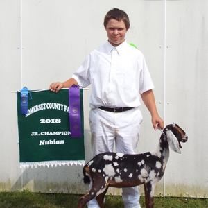 Meet your Posher, Carey